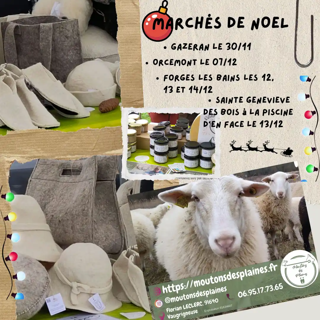 Marchés noël 2025 - Moutons des plaines